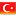 translate to turkish :: courtesy google